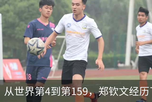 从世界第4到第159，郑钦文经历了什么？
