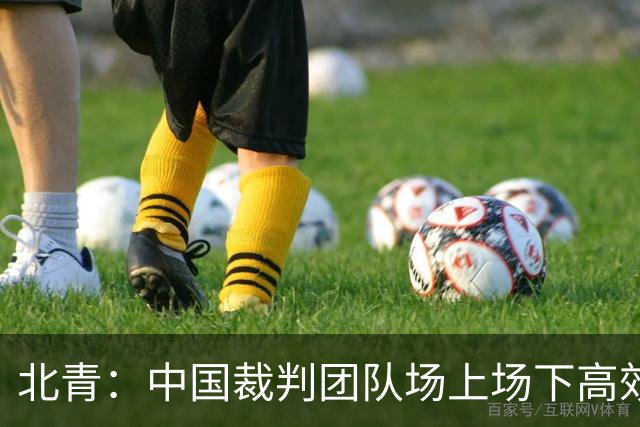 北青：中国裁判团队场上场下高效协作，配得上更多世界杯执法场次