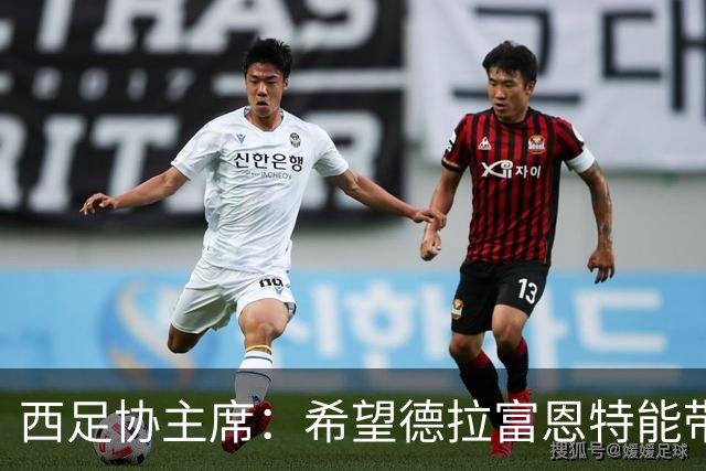 西足协主席：希望德拉富恩特能带队参加2030世界杯