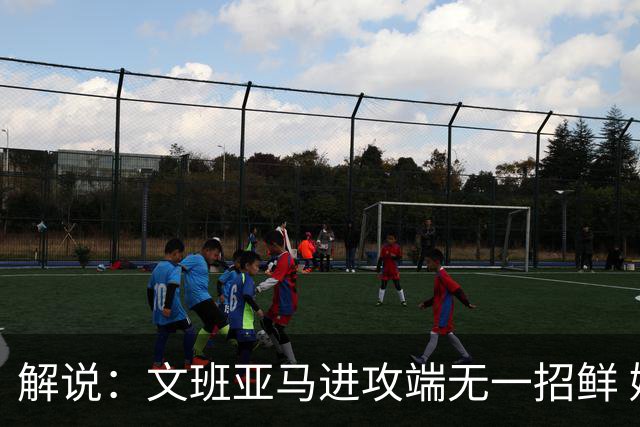 解说：文班亚马进攻端无一招鲜 姚明也2米2几但勾手&翻身跳投都行